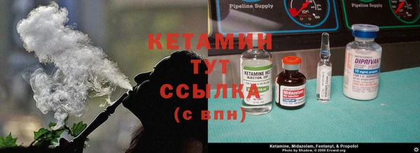 индика Армянск