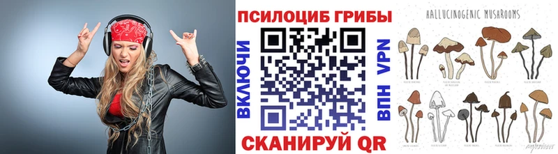 Псилоцибиновые грибы Cubensis Верхняя Тура